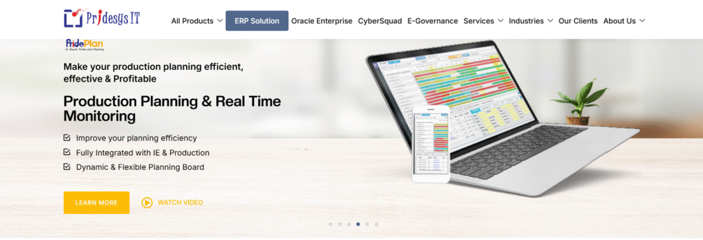 Pridesys IT software image